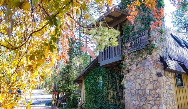 Bear Creek Motel And Cabins