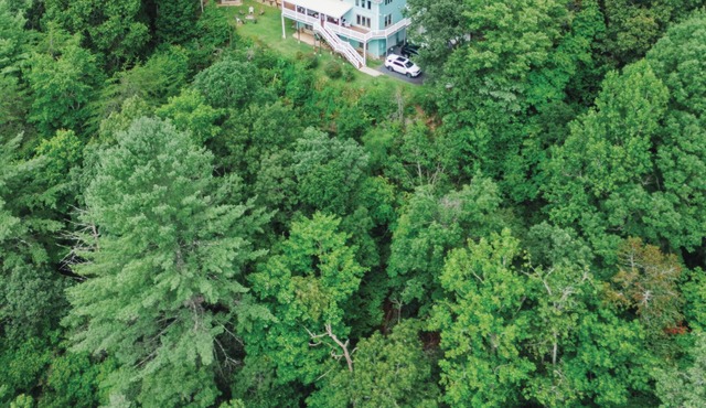 Bear Creek-Mountain views, decks that surround, and 3 creeks to discover!
