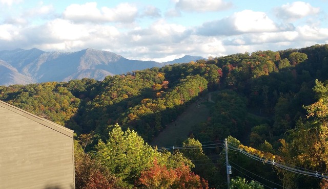 Bear Cub Vista amazing Ober Mtn views! Free Wi-Fi, hot tubs pool king bed!