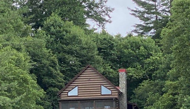 Bear Haven 3 Story Log Cabin with Pond View
