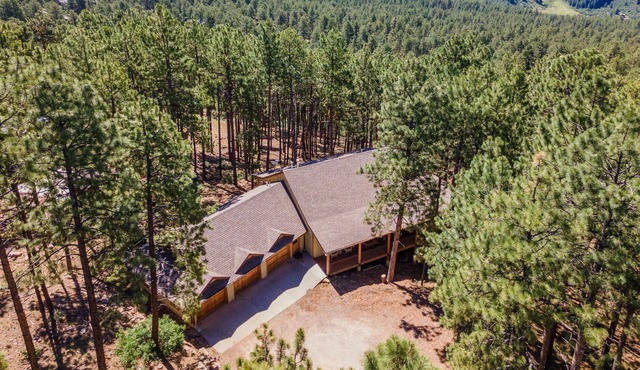 Bear Hug Retreat! 3BD/3BA Tranquil Mt Home