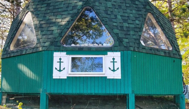 Bear Island Retreat On Beautiful Balsam Lake