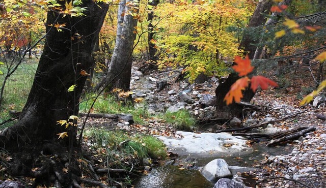 Bear Mountain Ranch at Ramsey Canyon