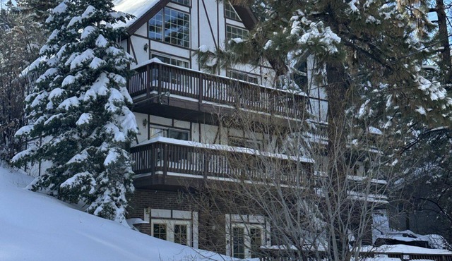 Bear Mountain Resort Chalet - Walk to Ski/Golf/Hiking- Essentials Included