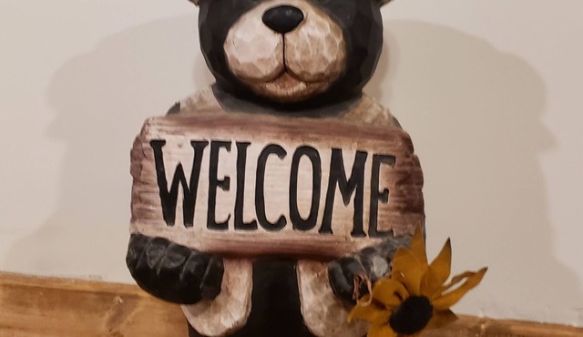 Bear Necessities Cabin - What Else Do You Need?