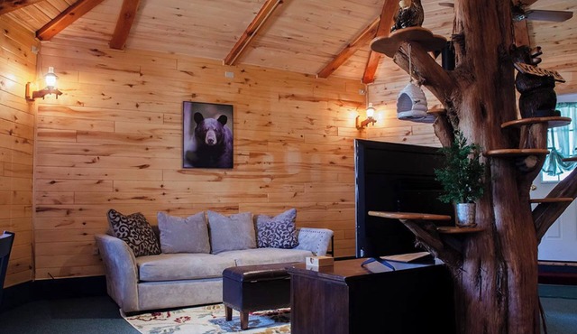 Bear Necessities Cabin, Mesa Verde Getaway