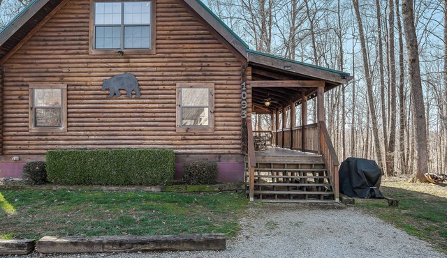 Bear Necessities is near East Port Marina on Dale Hollow Lake Tennessee