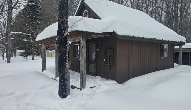 Bear Necessity Cabin Melstrand, MI
