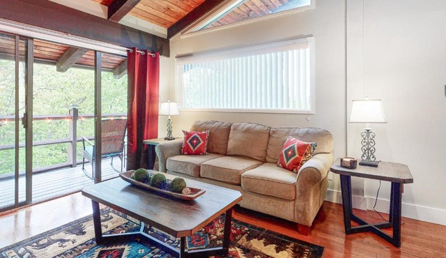 Bear Necessity Condo