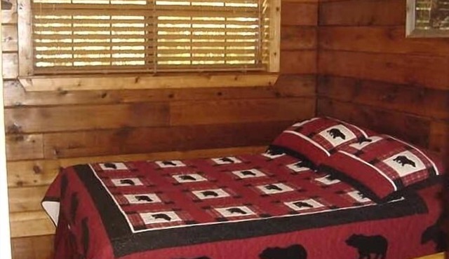 Bear Necessity Log Cabin -