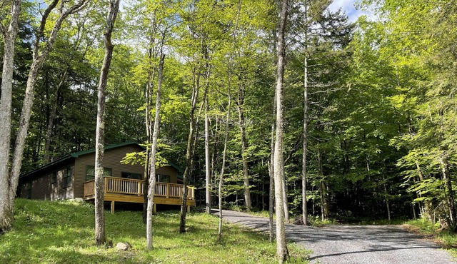 Bear Path Cabin - Lake Access - Big Moose Lake, Adirondacks