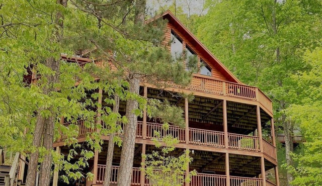 Bear Paw - Lake Hiwassee - Murphy, NC