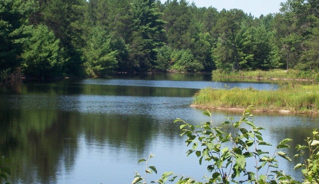 Bear's Den- Cottages On Serenity Lake- Beautiful Cottage On Small, Private Lake!