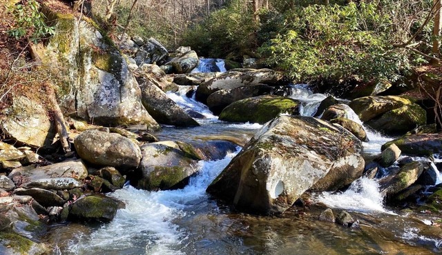 Bear's Mountaintop View /Lake Santeetlah /Smokey Mountains