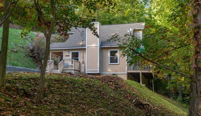 Bear sightings & access to Cove Mountain trail Pet Friendly