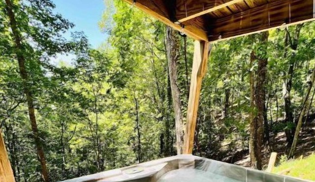 Bear-Tastic Mountain Cabin-HotTub-Game Room- Grill