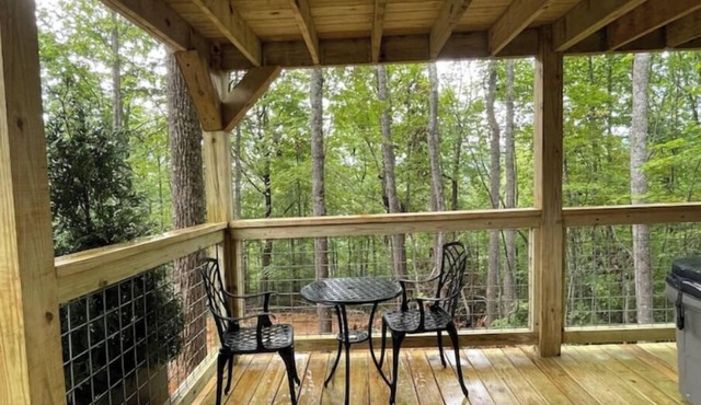 Bear Top Hideout