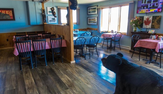 Bear Tracks Inn