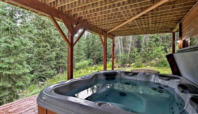 'Bear View Lodge' in Alma: 15 Mi to Breckenridge!