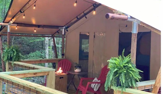 BEARADISE “Glamping Paradise”