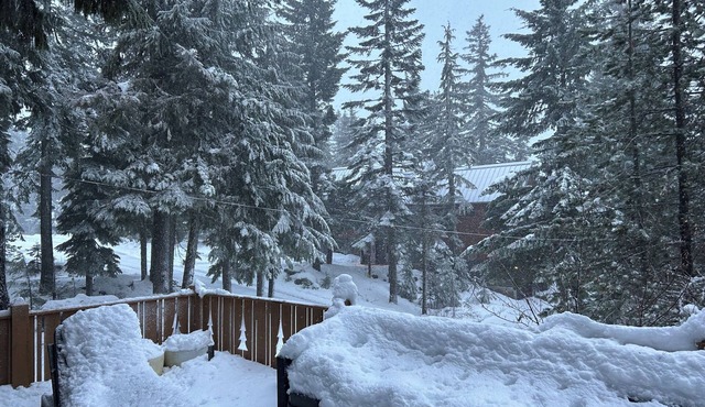 Bearcat Lodge - Gov't Camp Retreat @ Timberline