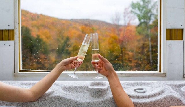 BearForceOne- Hot tub, Game Room, Views!