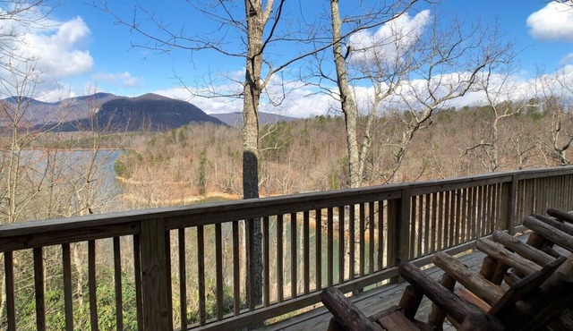 Bearmoon - King beds~WiFi-log cabin-dog friendly-sleeps 10