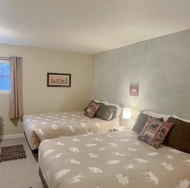 Beartooth Suites