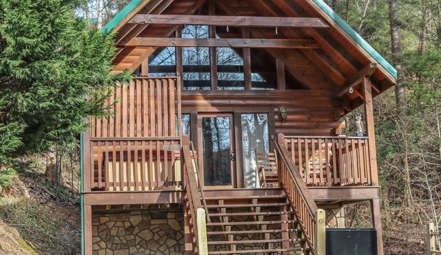 " Beary Cozy Cabin "