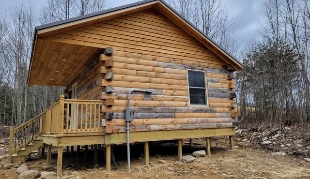 Beary Cozy Cabin