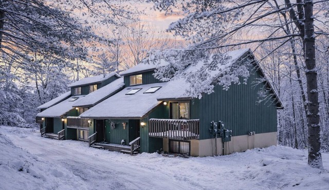 Beary Happy Place | Modern & Close to Downtown