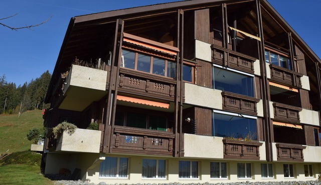 Beatenberg, large, quiet 1 room apartment Wi-Fi/WLAN, balcony, view