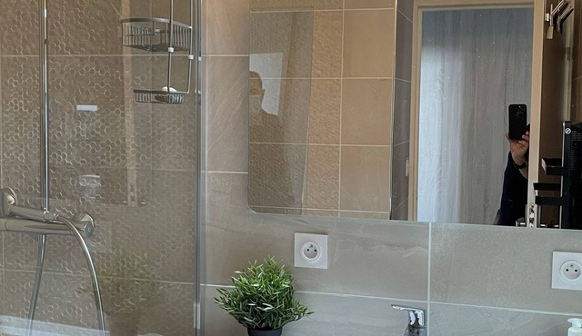 Beau 3 P Villeurbanne