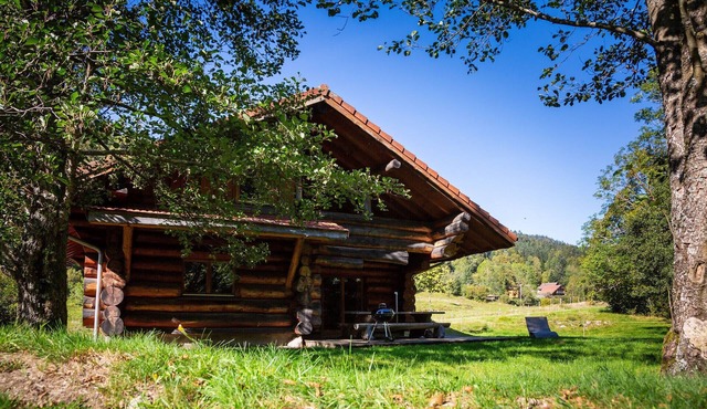 Beau Chalet rondins 130 m² à La Bresse, wifi, tout équipé, proche domaine skiable
