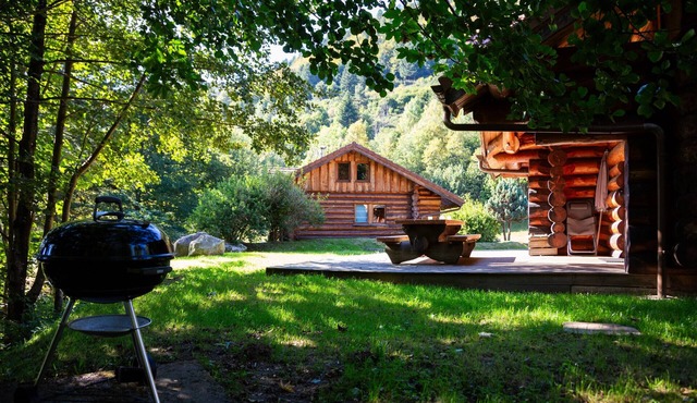 Beau chalet rondins tout confort à La Bresse proche domaine skiable wifi