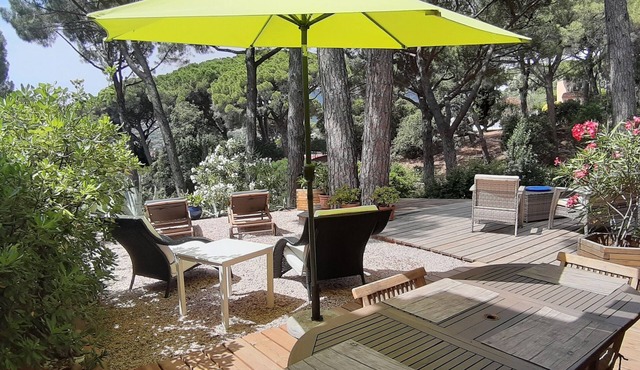 Beau Mazet 75m2, large garden in pine forest, Private domain with Swimming pool, Tennis .