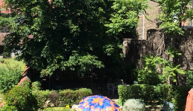 beau studio avec 2 lits (lits fait pour votre arrivée)