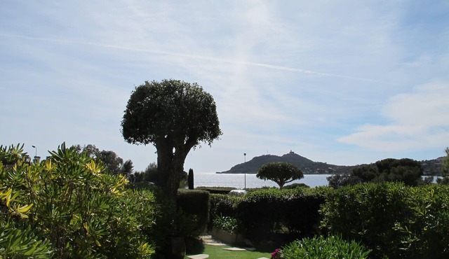 Beau studio cabine en rez de jardin dans résidence
