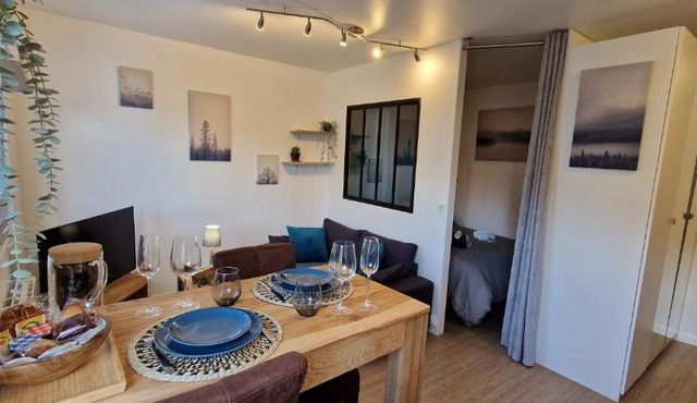 Beau studio très calme, parking privée gratuit, Netflix, Wifi