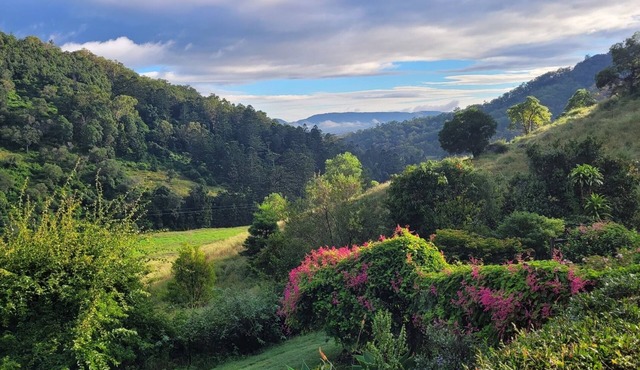 Beaumont High Country Homestead - Peaceful getaway on a working cattle property