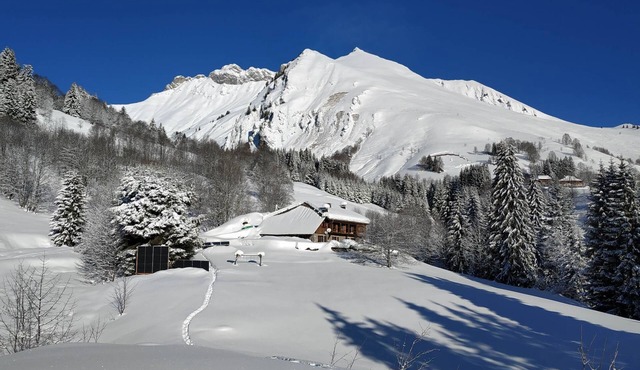 Beauregard chalet surrounded by snow - 7 bedrooms - 12 people