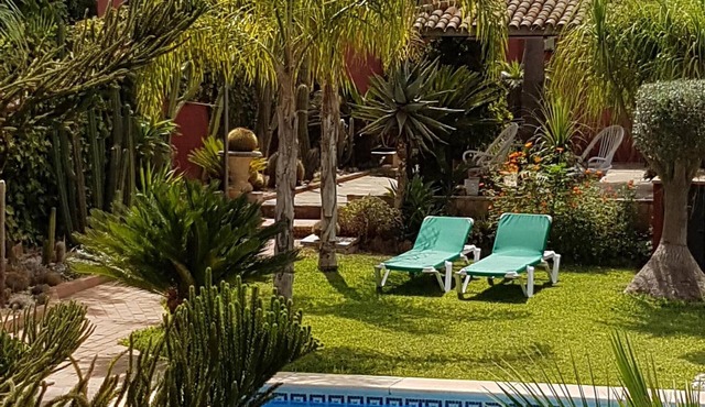 Beautiful home with pool, a welcome respite away from the city of Sevilla