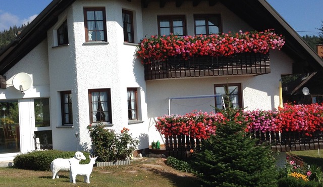 Beautiful, large, comfortable vacation apartment to feel at home in.