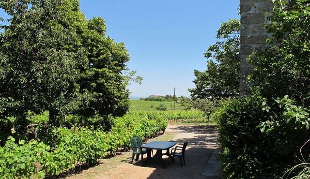 Beautiful private villa for 4 people with TV, terrace and pets allowed