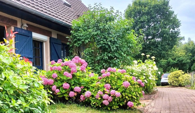 Beautiful villa touquettoise near the golf