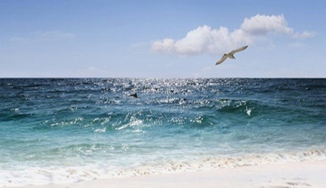 BEAUTIFULLY DESIGNED CONDO, JUST ONE MILE TO BEACH! CLOSE TO EVERYTHING YOU NEED