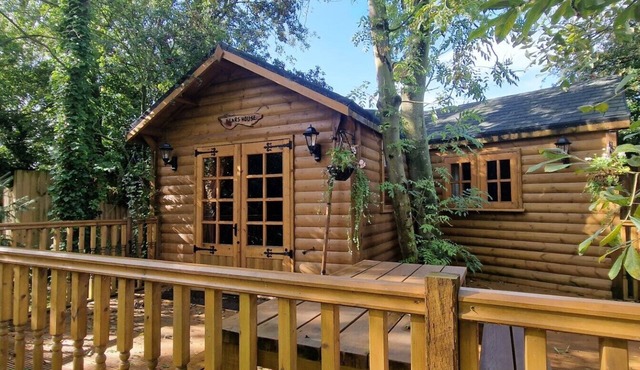 Beautiful 1-Bed Cabin in Newmarket