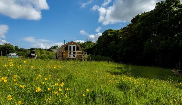 Beautiful 1 bed Glamping pod in Battle