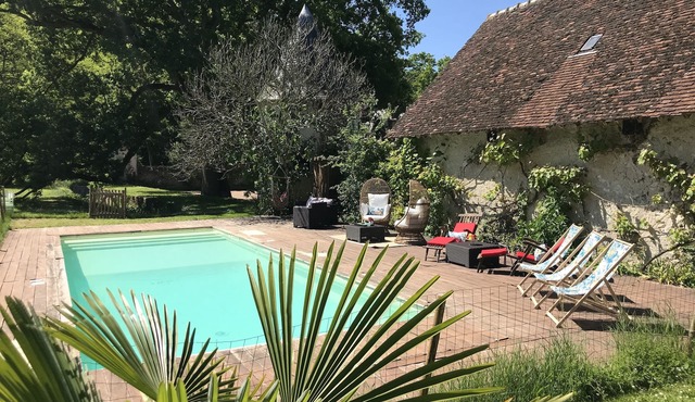 Beautiful 16th century residence with swimming pool - Loire Valley castles.