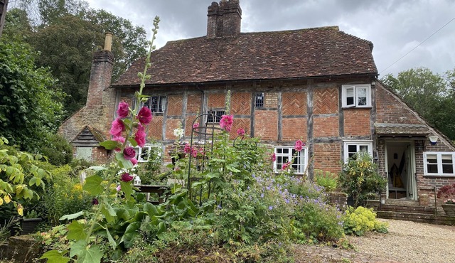 Beautiful 16th century house in national park 1 hr from London with small pool